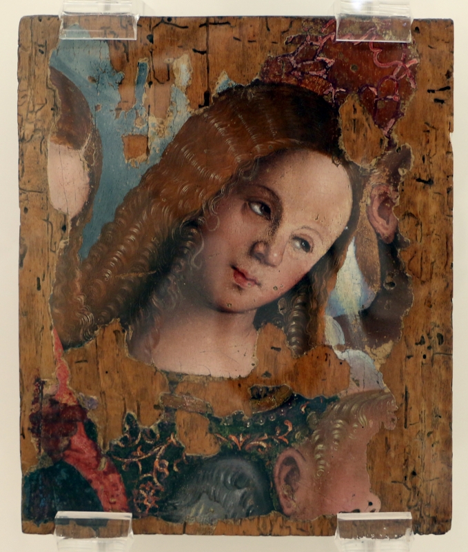 Francesco zaganelli (francesco da cotignola), testa d'angelo, 1520-30 ca - Sailko