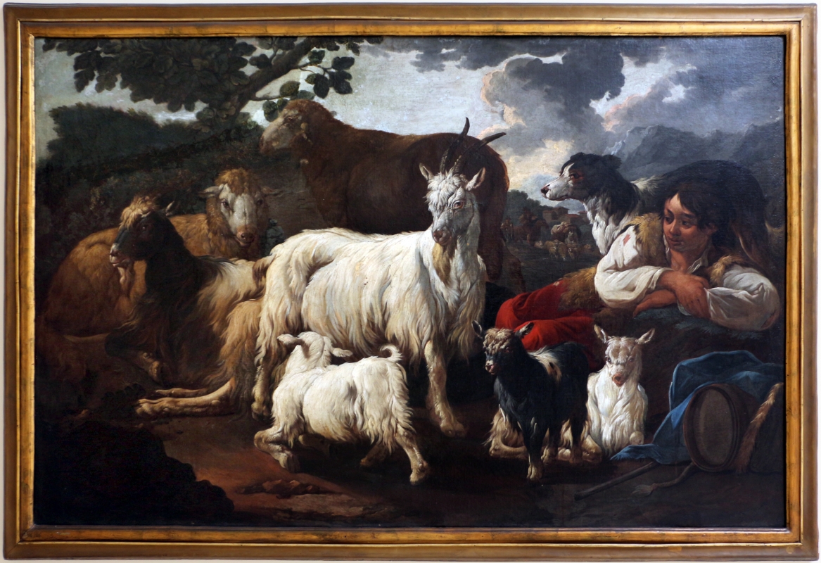 Micco brandi, pastore con gregge di pecore e capre, 1705-30 ca - Sailko