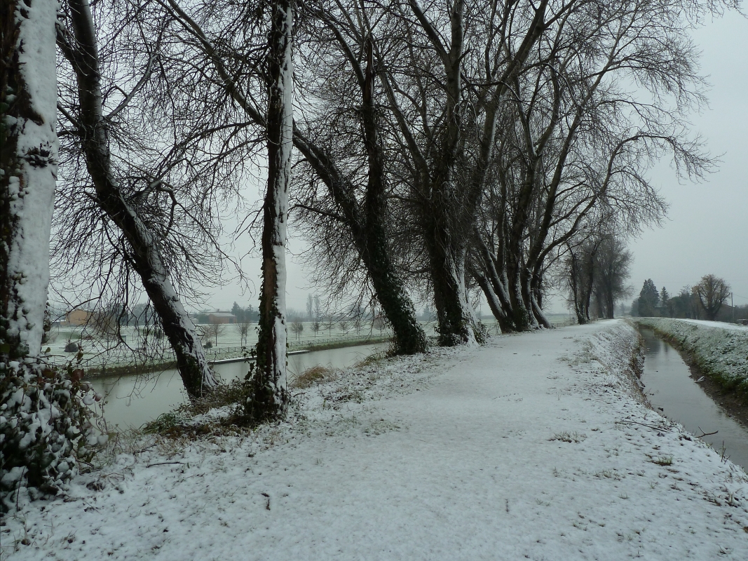 Neve nel sentiero - Gianni Buscaroli 1