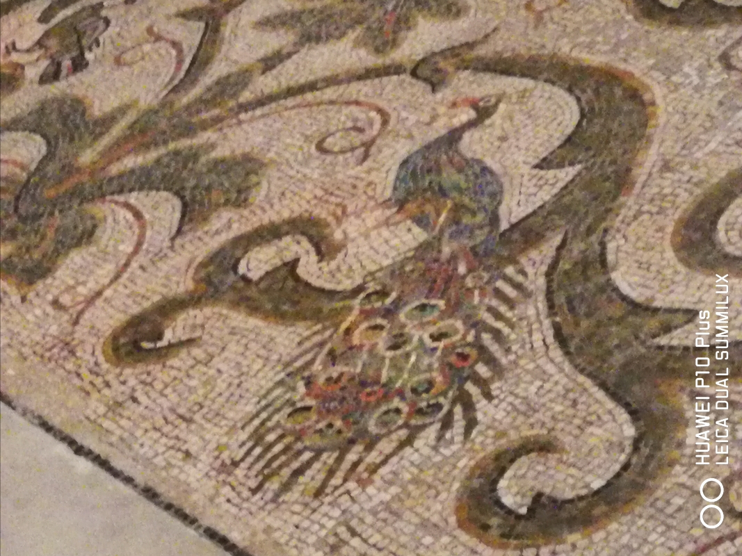 San Vitale - particolare della figura del pavone pavimento musivo abside - LadyBathory1974