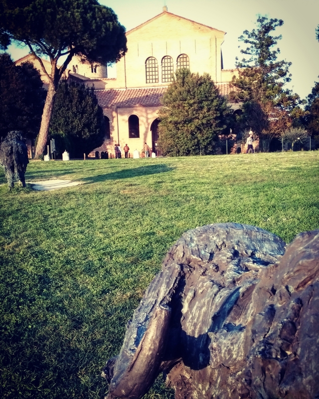 Ravenna - Basilica di Sant'Apollinare con bufali - Giacomo V. Armellino