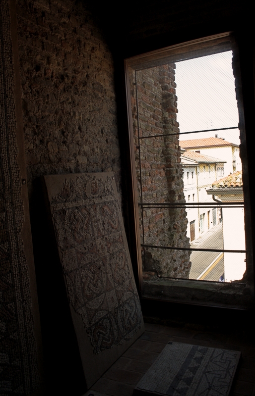Palazzo di Teodorico - Mosaico piano superiore 6 - Walter manni