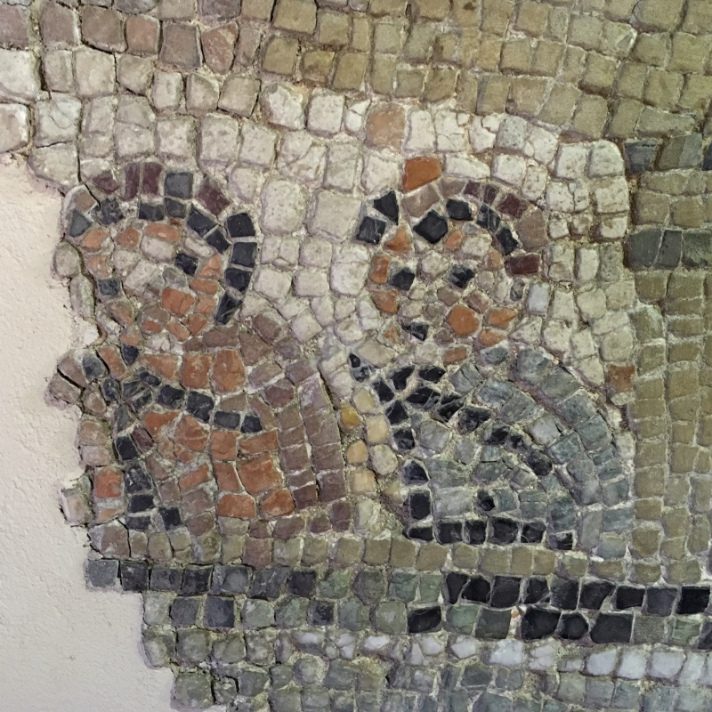 Palazzo di Teodorico - Mosaico piano superiore 2 - Walter manni
