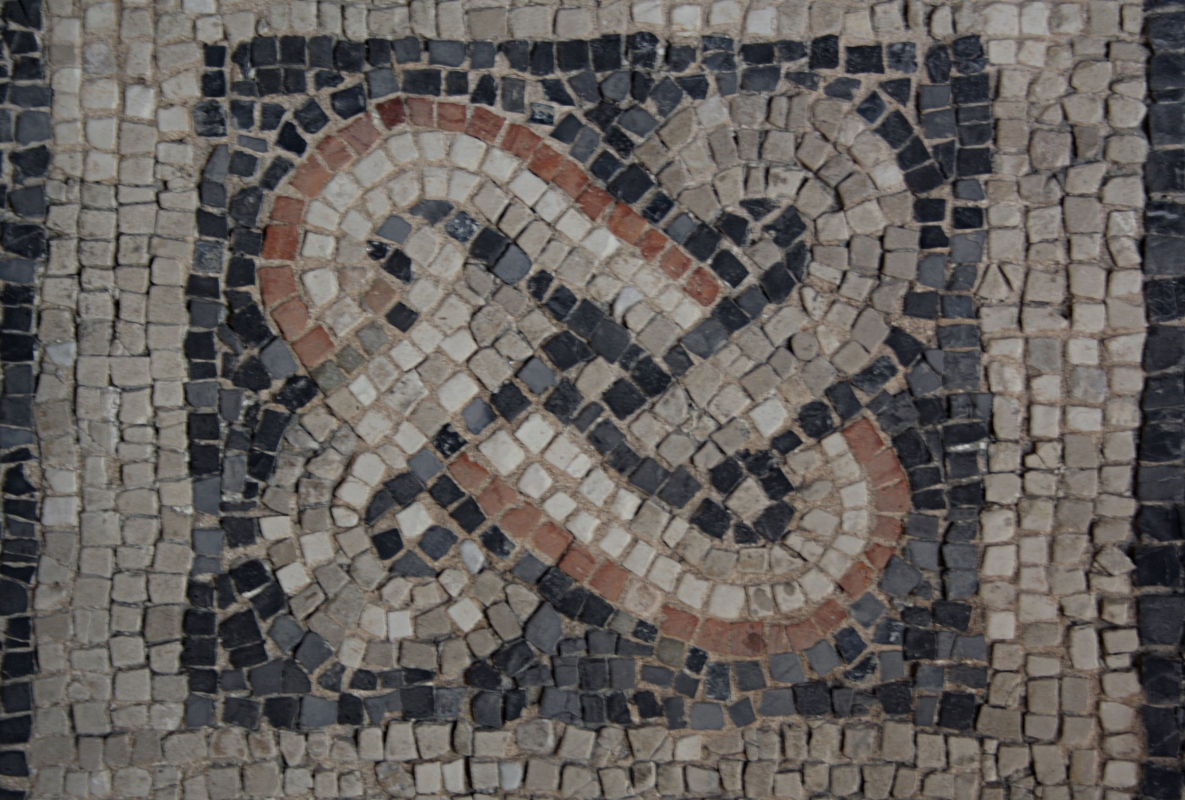 Palazzo di Teodorico - Mosaico piano superiore 4 - Walter manni