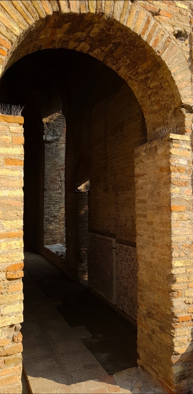 Chiesa di San Salvatore ad Chalchis cosiddetto Palazzo di Teodorico mosaici in vista - Opi1010