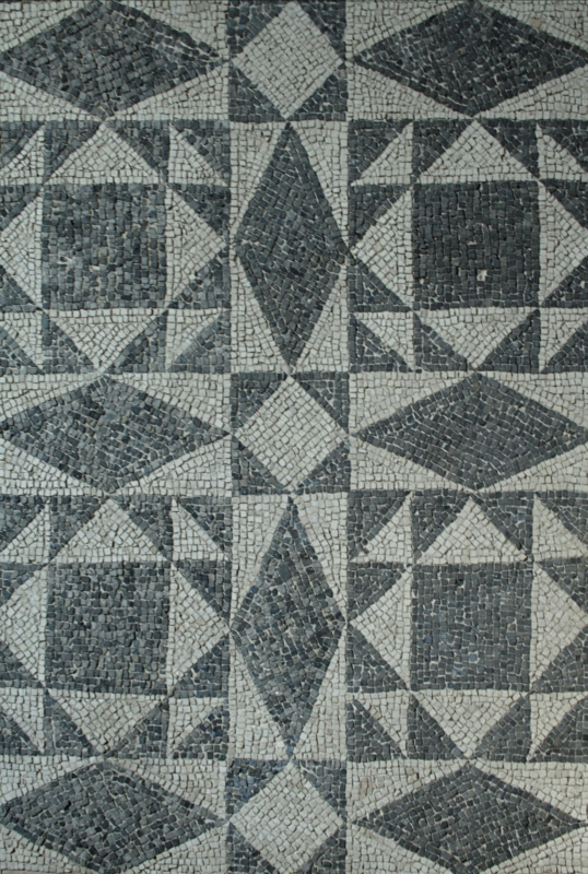 Palazzo di Teodorico - Mosaico piano superiore 10 - Walter manni