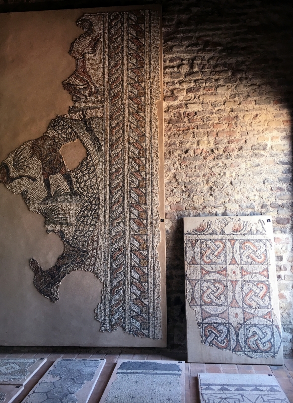 Palazzo di Teodorico - Mosaico piano superiore 3 - Walter manni
