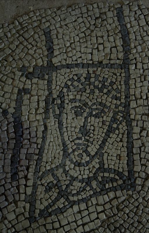 Palazzo di Teodorico - Mosaico piano superiore 5 - Walter manni