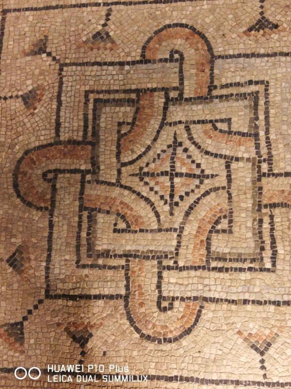 Domus dei tappeti di pietra - particolare - LadyBathory1974
