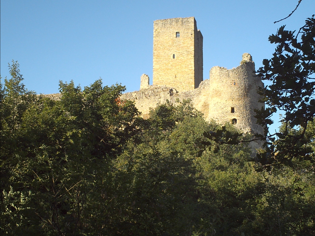 Torre e mura dal lato ovest al tramonto - Manuel.frassinetti
