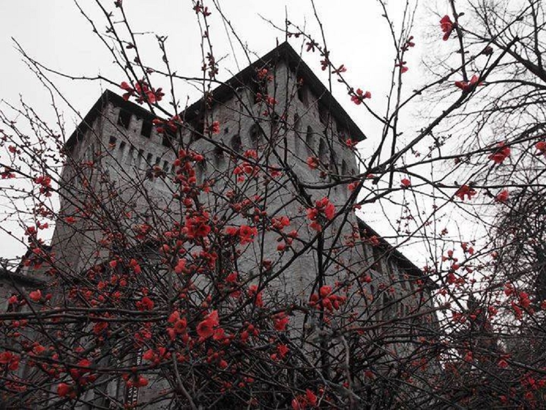 Castello in primavera - Cosimo Sorvillo