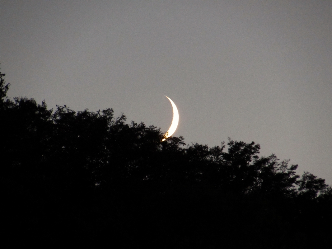 Luna dietro il monte dal piazzale 2 giugno - LaraLally19