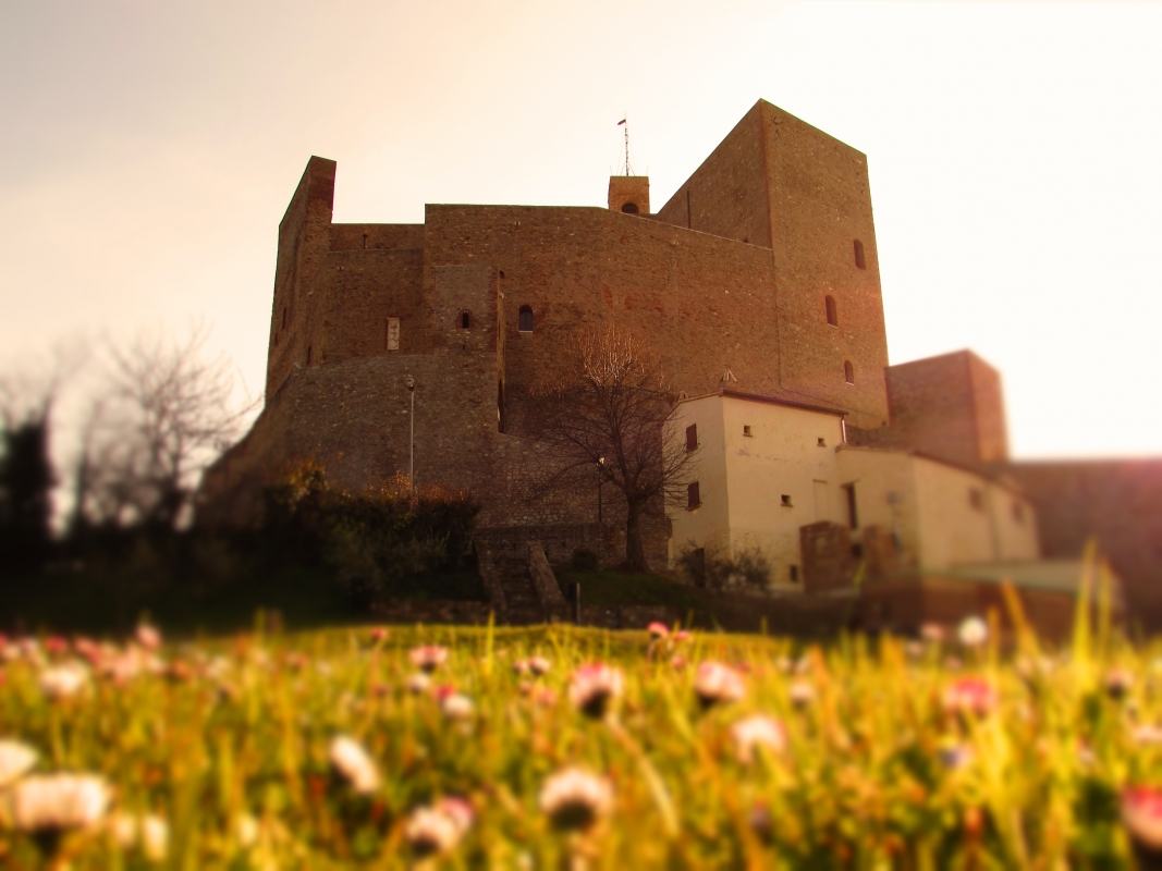 Il castello Malatestiano e la sua primavera - LaraLally19