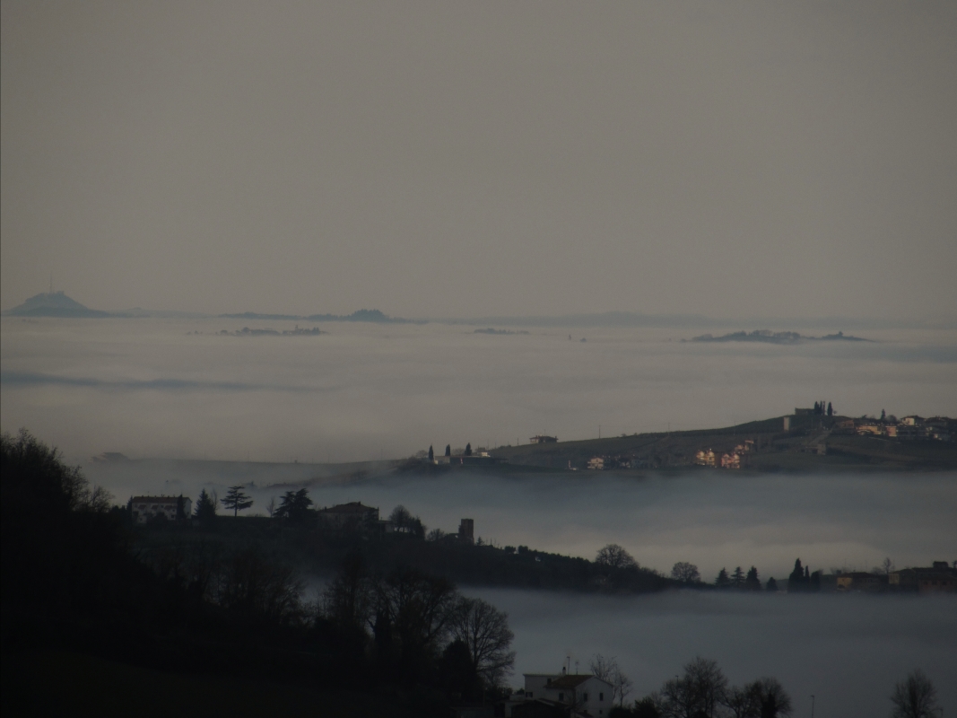 Una vista unica con la nebbia - Larabraga19