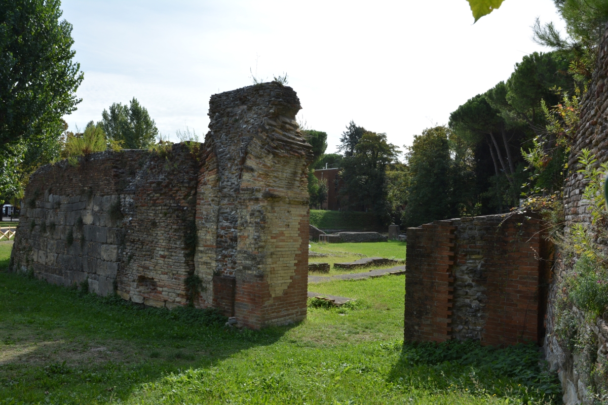 Anfiteatro romano DB-01 - Bacchi Rimini