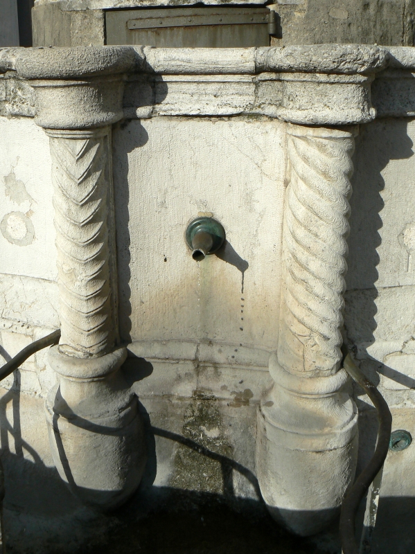 Particolare fontana della pigna - Rimini 13 foto di Paperoastro