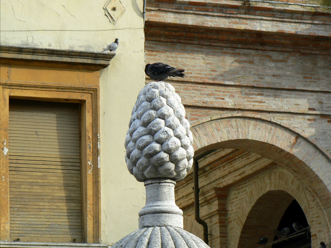 Particolare fontana della pigna - Rimini 1 - Paperoastro