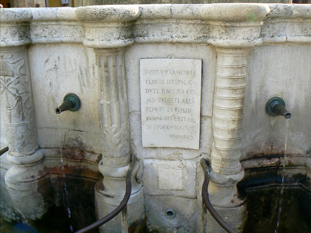 Particolare fontana della pigna - Rimini 5 - Paperoastro