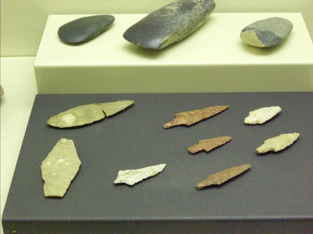 Museo della Città-Sezione pre-protostorica - Clawsb