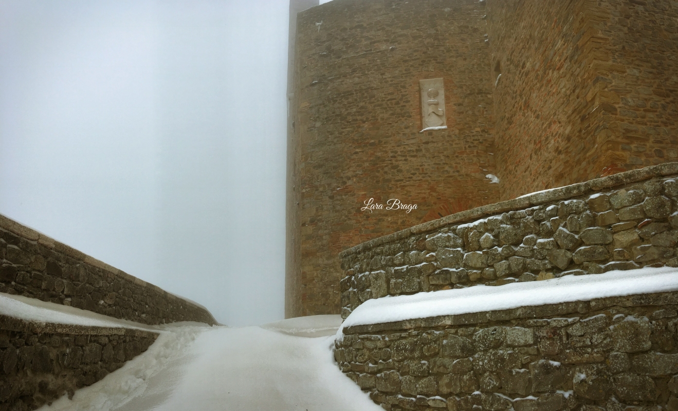 La Rocca e la Galaverna....ghiaccio sulla neve102 - Larabraga19