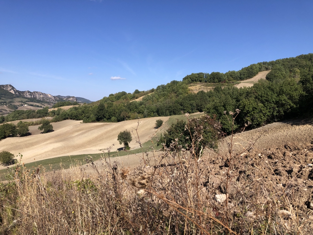 Landscape between Montemaggio a Sant’Igne (S.Leo) - Francesca Pasqualetti