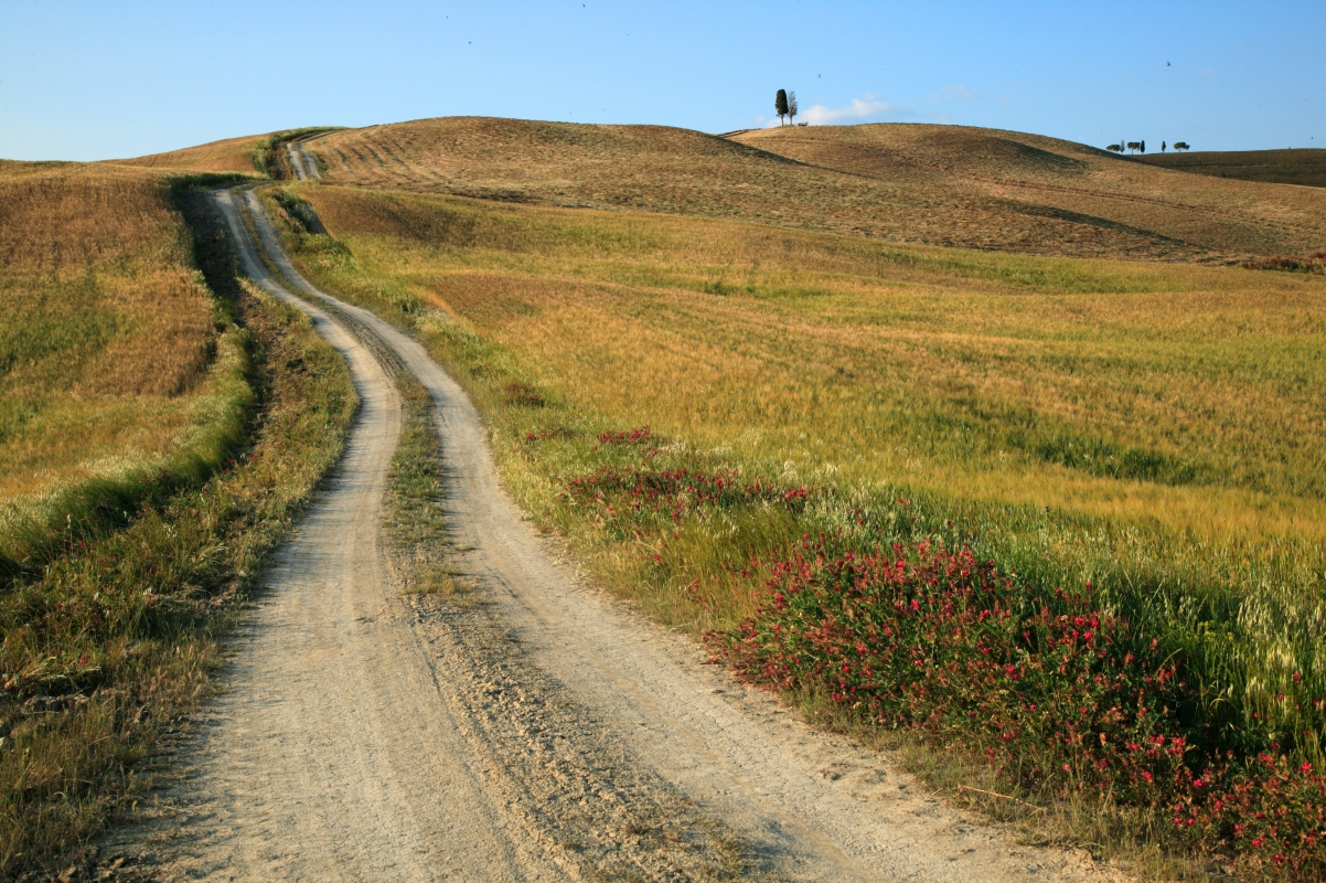 Crete Senesi - Alessandro Chiarini