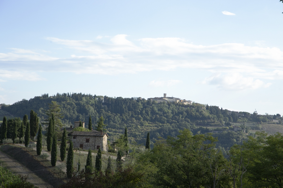 View of Radda in Chianti and the surrounding landscape - Simone Antonazzo / ENIT SpA