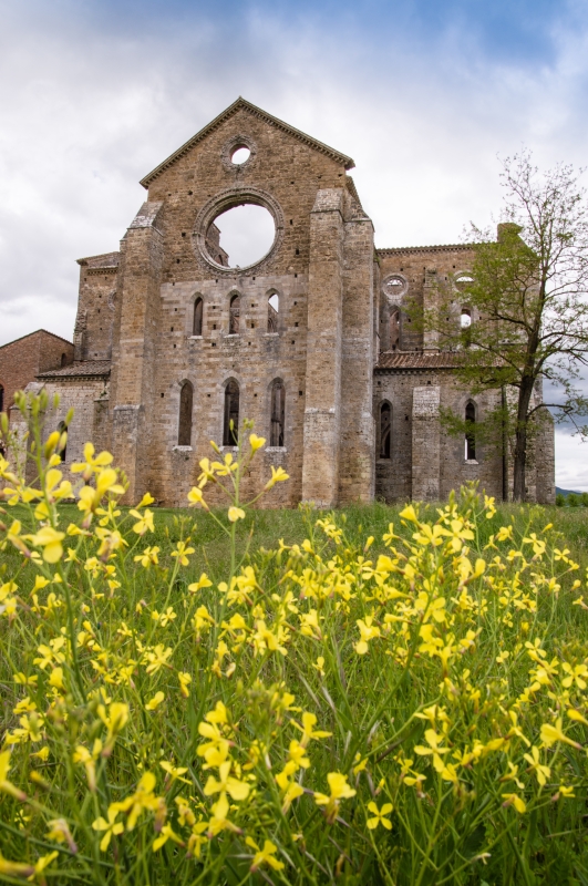 Abbey of San Galgano, façade - ENIT SpA