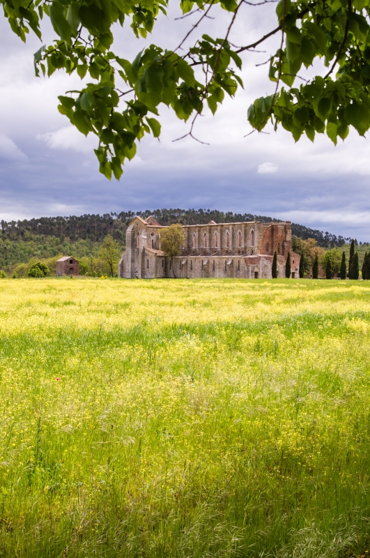 Abbazia di San Galgano - ENIT SpA