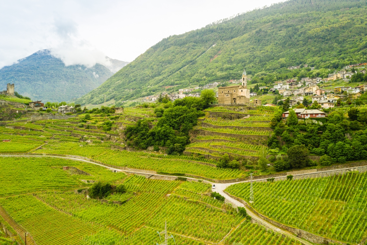 La Via dei Terrazzamenti nei pressi di Montagna in Valtellina; sullo sfondo, la Chiesa di Sant'Antonio Abate - ENIT SpA