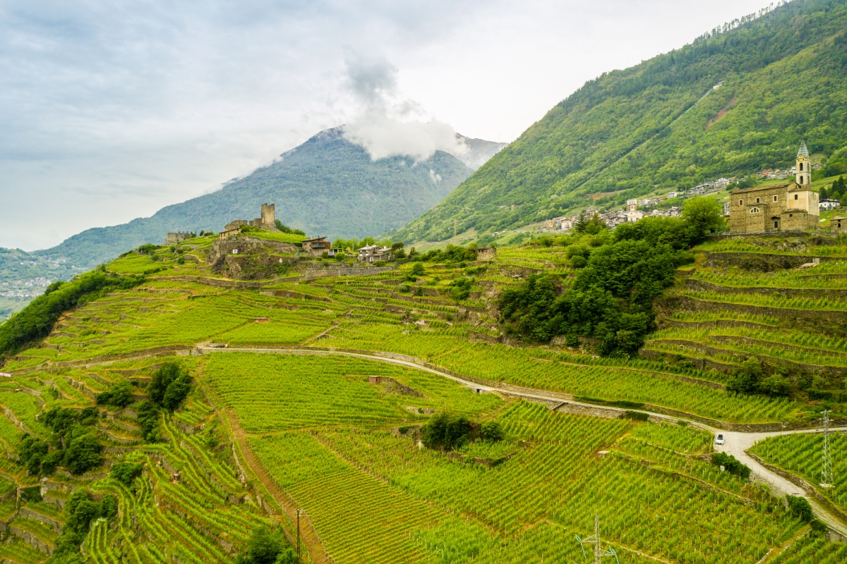 The Via dei Terrazzamenti near Montagna in Valtellina; in the background, the remains of Castello Grumello and the Church of Sant'Antonio Abate - ENIT SpA