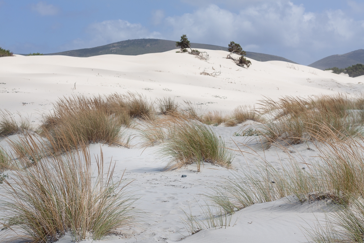 Dune di Porto Pino - Simone Antonazzo / ENIT SpA