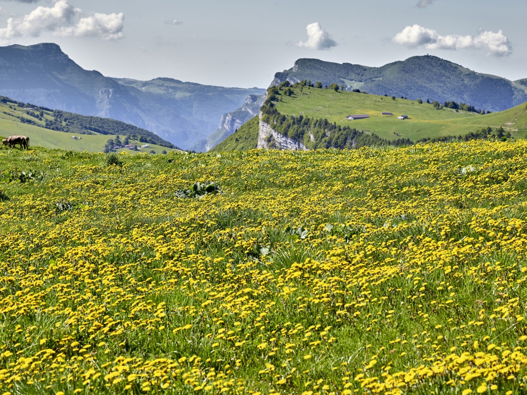 Monte Baldo - Trentino Sviluppo S.p.A. - Carlo Baroni