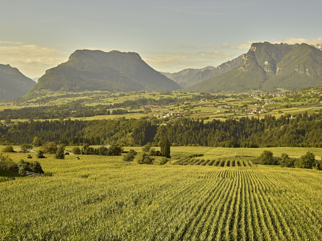 Bleggio Inferiore - campi coltivati - Trentino Sviluppo S.p.A. - Carlo Baroni