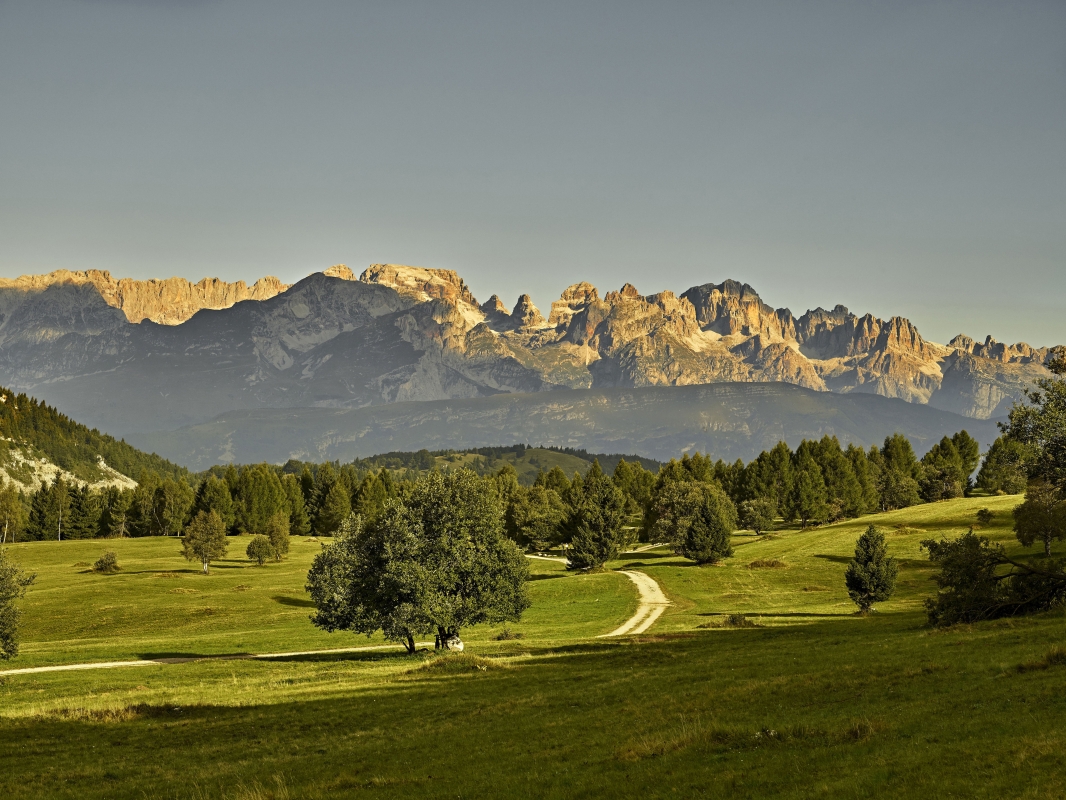 Dolomiti di  Brenta viste da località Viote - Trentino Sviluppo S.p.A. - Carlo Baroni