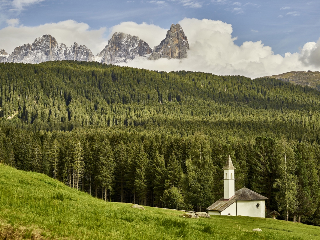 Paneveggio Forest and chiesa dell'Assunta - Trentino Sviluppo S.p.A. - Carlo Baroni