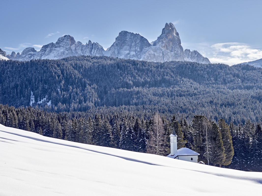 Foresta di Paneveggio e chiesetta dell'Assunta - Trentino Sviluppo S.p.A. - Carlo Baroni
