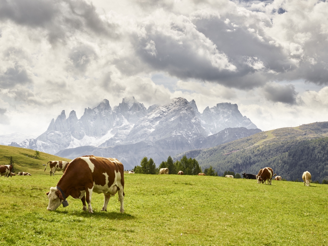 Pala Group seen from Fuciade - Trentino Sviluppo S.p.A. - Carlo Baroni