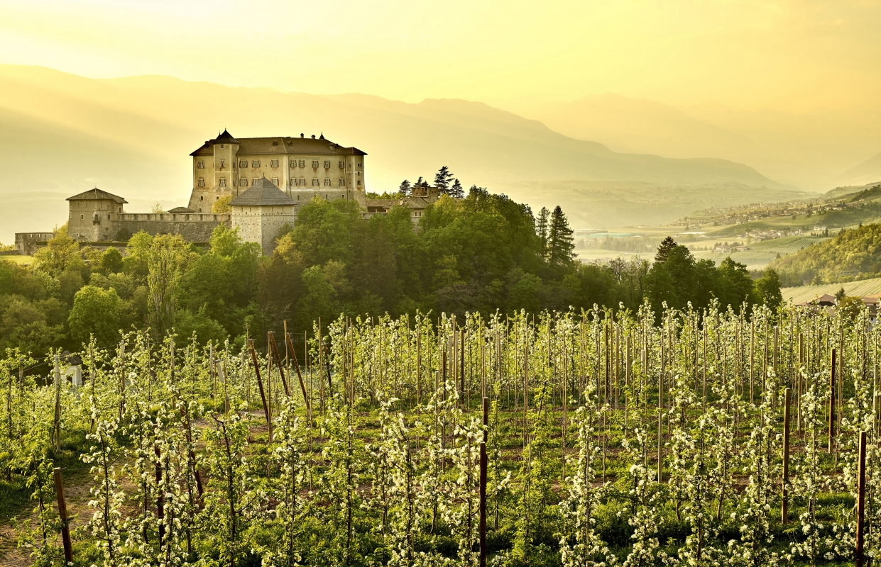Castel Thun - Trentino Sviluppo S.p.A. - Carlo Baroni