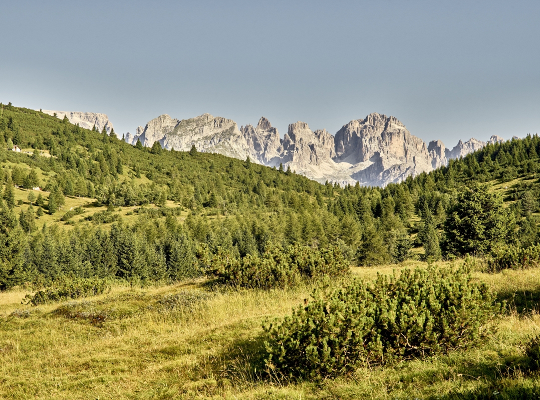 Paganella - Trentino Sviluppo S.p.A. - Carlo Baroni