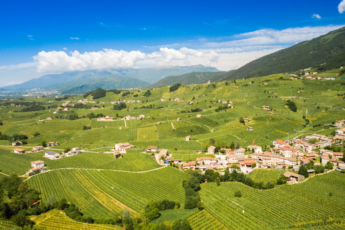 Colline del Prosecco di Conegliano e Valdobbiadene - ENIT SpA