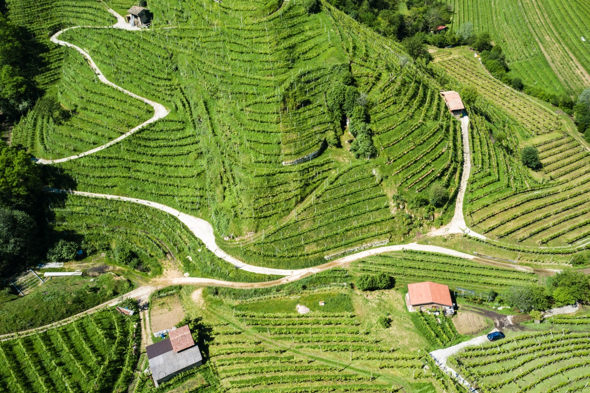 Colline del Prosecco di Conegliano e Valdobbiadene - ENIT SpA