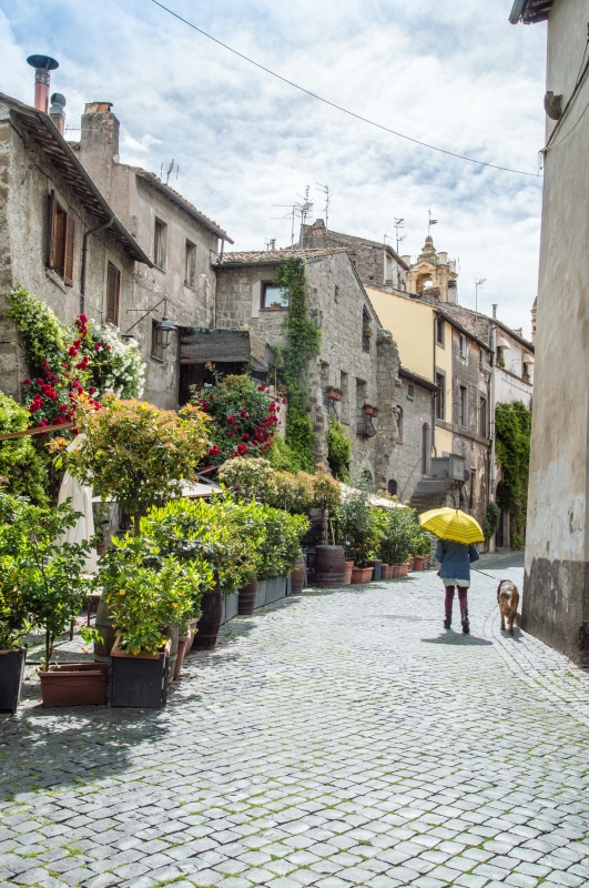 A typical street in the San Pellegrino quarter in Viterbo - ENIT SpA