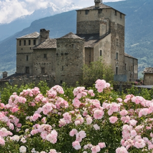 Castello Sarriod de la Tour - Archivio Regione Autonoma Valle d'Aosta