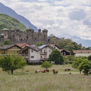 Castello di Fénis - ENIT SpA