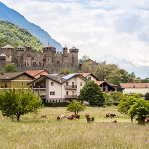 Castello di Fénis - ENIT SpA