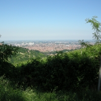 Panorama dall'Osservanza - Gabriella Borghetto