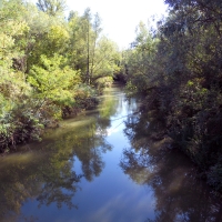 Vista fiume Idice - Albertoc