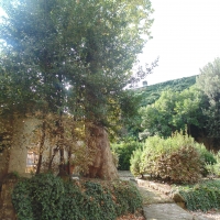 Palazzo Tozzoni (dettaglio giardino) - Maurolattuga