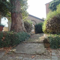 Palazzo Tozzoni (giardino) - Maurolattuga